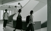 ppd26 localsensations film