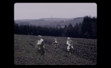 website campos flandres