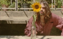 website film insolencia