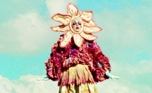 website film floresfalantes